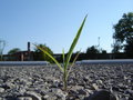 campus pics 022.jpg