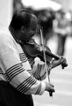 The musician.jpg
