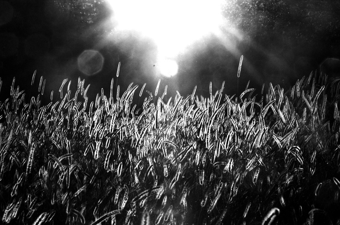 Blinding light