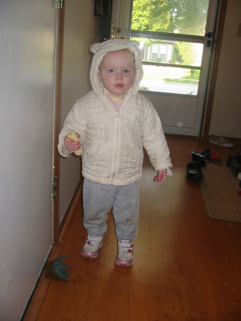 IMG_4384-a.jpg