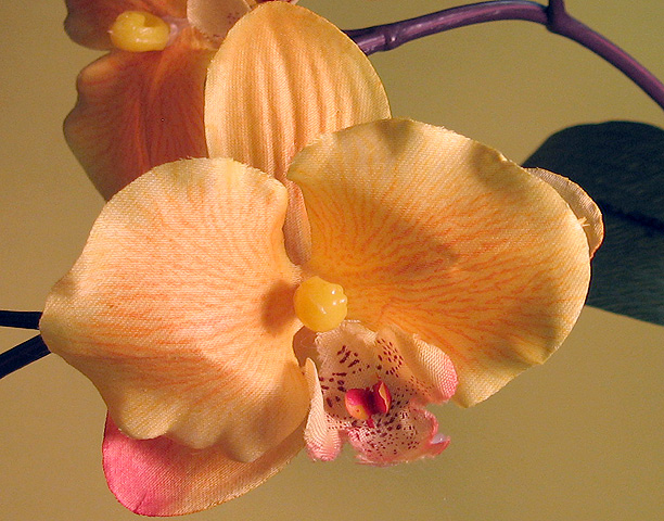 Yellow IV - outtakes 2