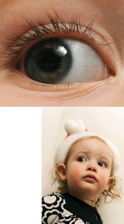D700, 50mm 1.4