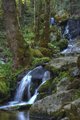 Water of Life