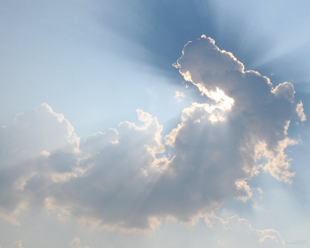 Glory of Life