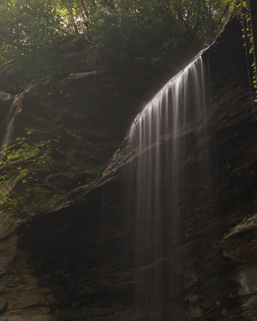 Moore Cove Falls