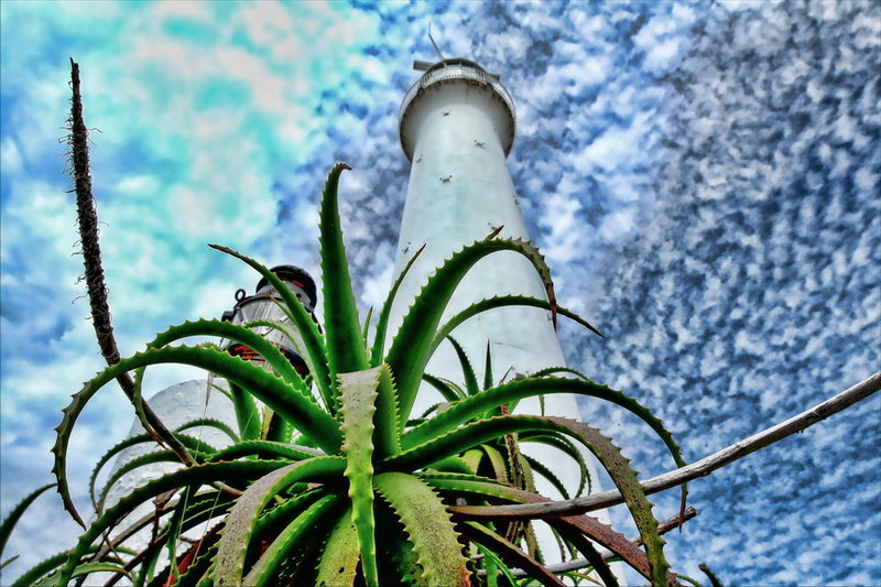 vibrance_7.jpg