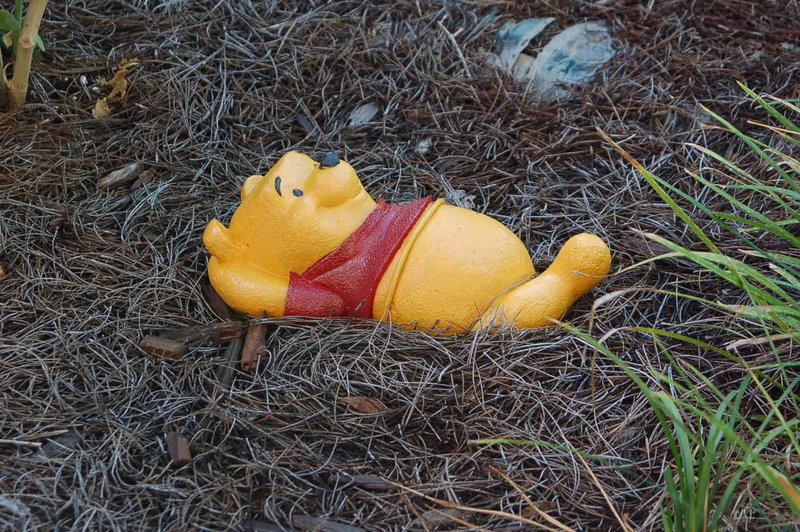 Winnie Is Stuck