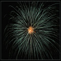 flower in the sky.jpg