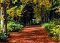 DSC_000  Walk down the copper path .jpg