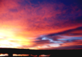 Morning Palette