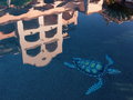 POOL REFLECTION