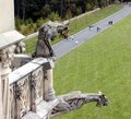 GARGOYLE 1.jpg