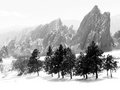 Snow Day at the Golf  Course