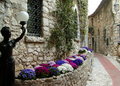 EZE 10051.jpg