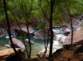 ZION