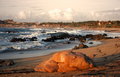 Rocky shore of Cabo