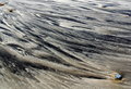 Natures Design 32014.jpg