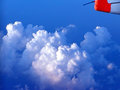 P927001redwingtip4.jpg