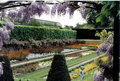 hampton ct garden5dps.jpg