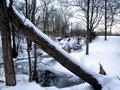 Mill Pond202.jpg