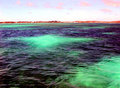 aruibawaterP2040223a.jpg