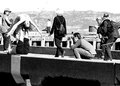 P1050219stf.jpg