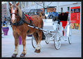DSC_0140carriage