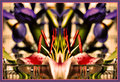 DSC_0028floral1a.jpg