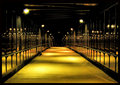 D09nightshot1.jpg