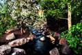 Enchanted Brooke0031.jpg