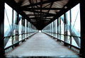 DSC_0029outtakevanishigpt.jpg