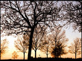 DSC_002sunsetsil2.