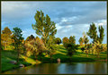 DSC_0033paintedtrees.jpg