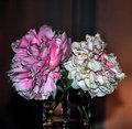 FADING...FADED0018.jpg