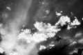 DSC_0008aBW.jpg