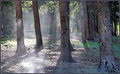 DSC_0145C4.jpg