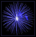 DSC_0045BLUE FLARE.jpg