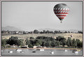 DSC_S11Sporting Day.jpg