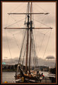 DSC_0164  TALLSHIP AT VICTORIA HARBOR 1A.jpg