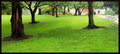 DSC_0192  PARK SCENE 1A.jpg