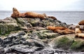 DSC_0086  Race Rock 1a.jpg