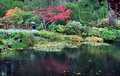 DSC_0196 REFLECTION PALLETTE 1A.jpg