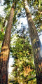 DSC_0011 SLIM JIMS  1A.jpg