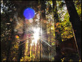 DSC_0013   BLUE ORB 1A.jpg