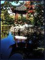 DSC_0092  Chinese garden fsa.jpg