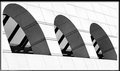 DSC_0029 1 CURVE TBW.jpg