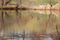 DSC_0013 1.jpg