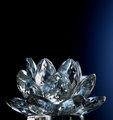 CRYSTAL FLOWER