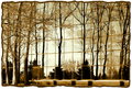 DSC_0092 gdf.jpg