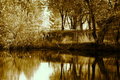 DSC_0072 dicls.jpg
